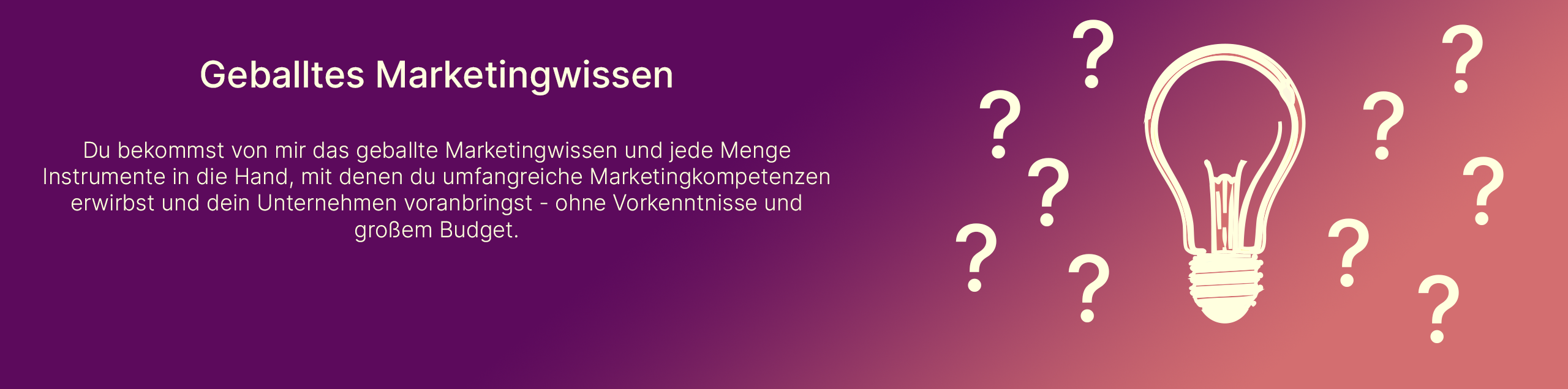 Geballtes Marketingwissen